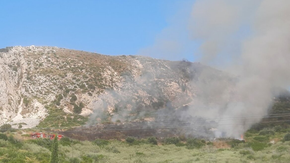 Φωτιά σε αγροτοδασική έκταση στην Κεφαλονιά, επιχειρούν δύο αεροσκάφη