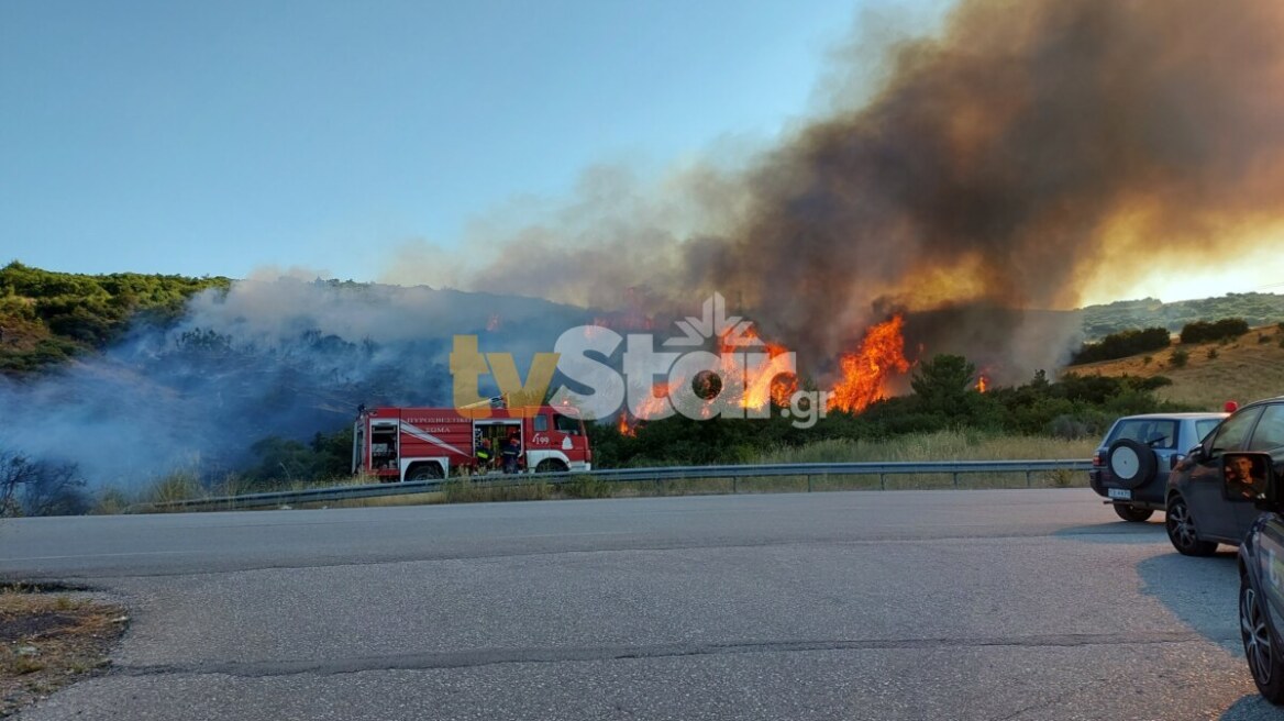 Οριοθετήθηκε πυρκαγιά στον περιφερειακό της Λαμίας – Ισχυρές δυνάμεις της Πυροσβεστικής στο σημείο