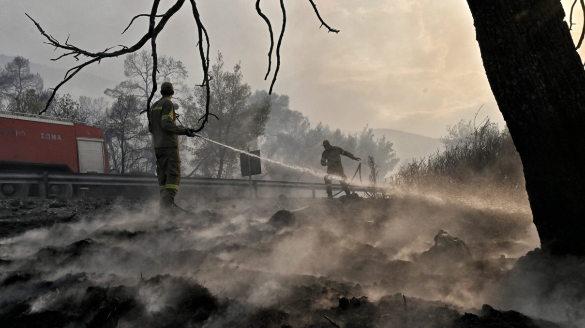 Βόλος: Υπό έλεγχο η μεγάλη φωτιά στις Γλαφυρές και στο Πεδίο Βολής του Στρατού