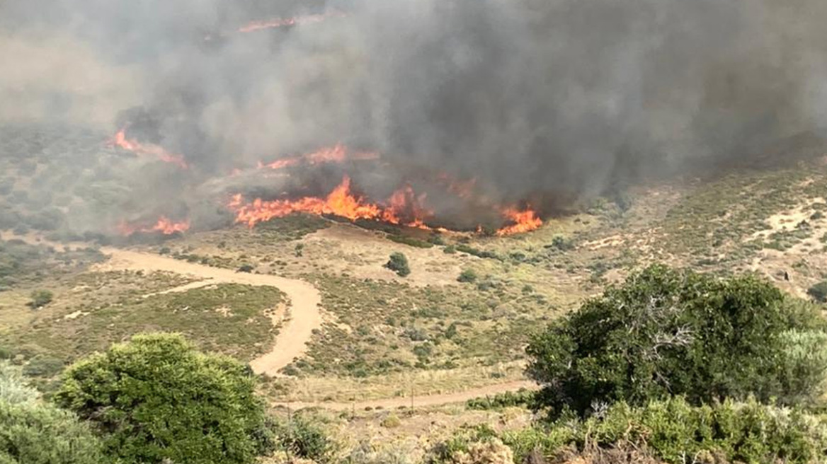 Φωτιά στην Κάρυστο: Εκκενώθηκαν τέσσερις οικισμοί - Ενισχύονται οι χερσαίες δυνάμεις