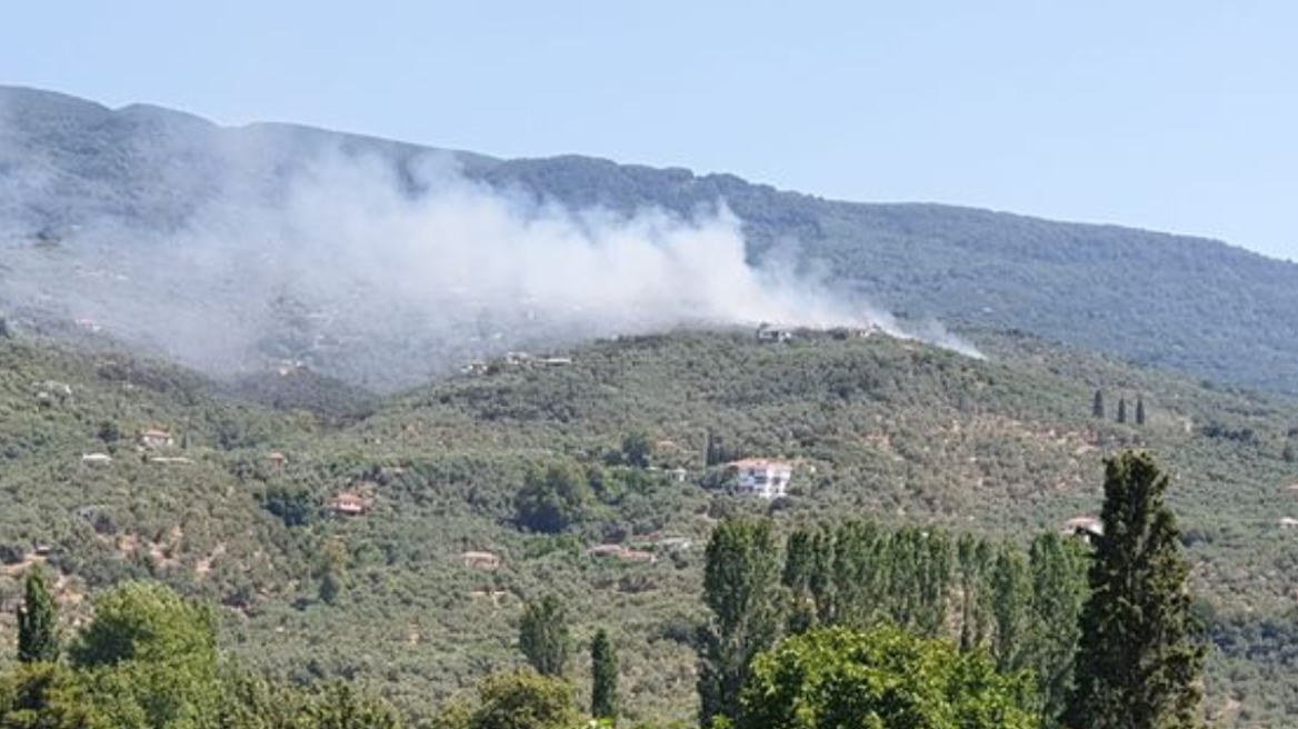 Φωτιά τώρα στο Πήλιο - Δείτε φωτογραφίες
