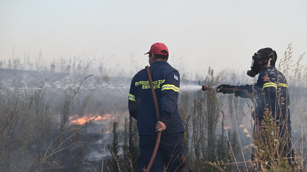 Φωτιές: Οριοθετήθηκε η πυρκαγιά στη Θάσο - Υπό μερικό έλεγχο τα μέτωπα σε Ηράκλειο, Δομοκό