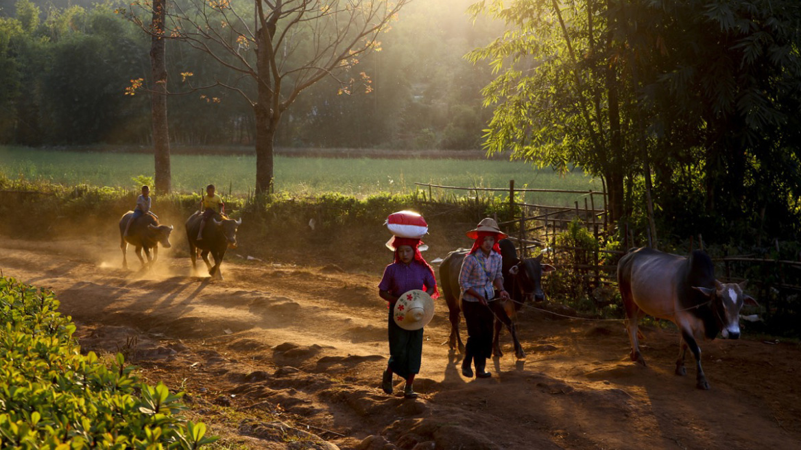 Πώς οι Planet Voyagers μετατρέπουν τα ταξίδια σε αυθεντικές εμπειρίες