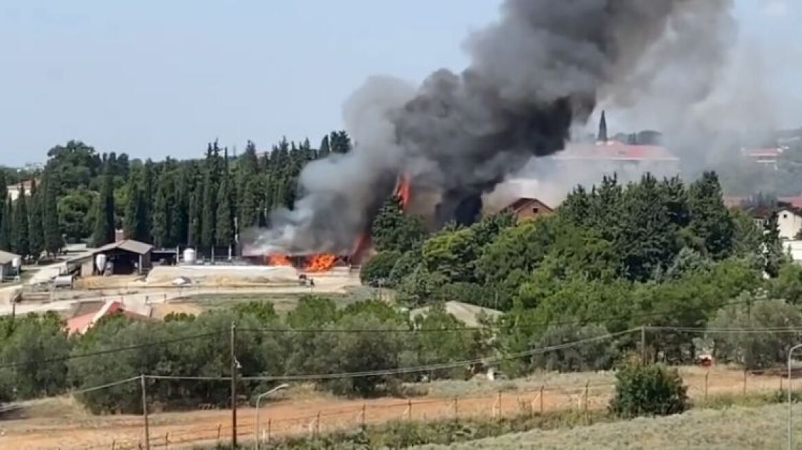 Θεσσαλονίκη: Φωτιά σε εταιρεία ανακυκλώσιμων υλικών στα Διαβατά