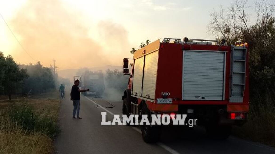 Υπό μερικό έλεγχο η φωτιά στη Λαμία - Μεγάλη κινητοποίηση της Πυροσβεστικής 