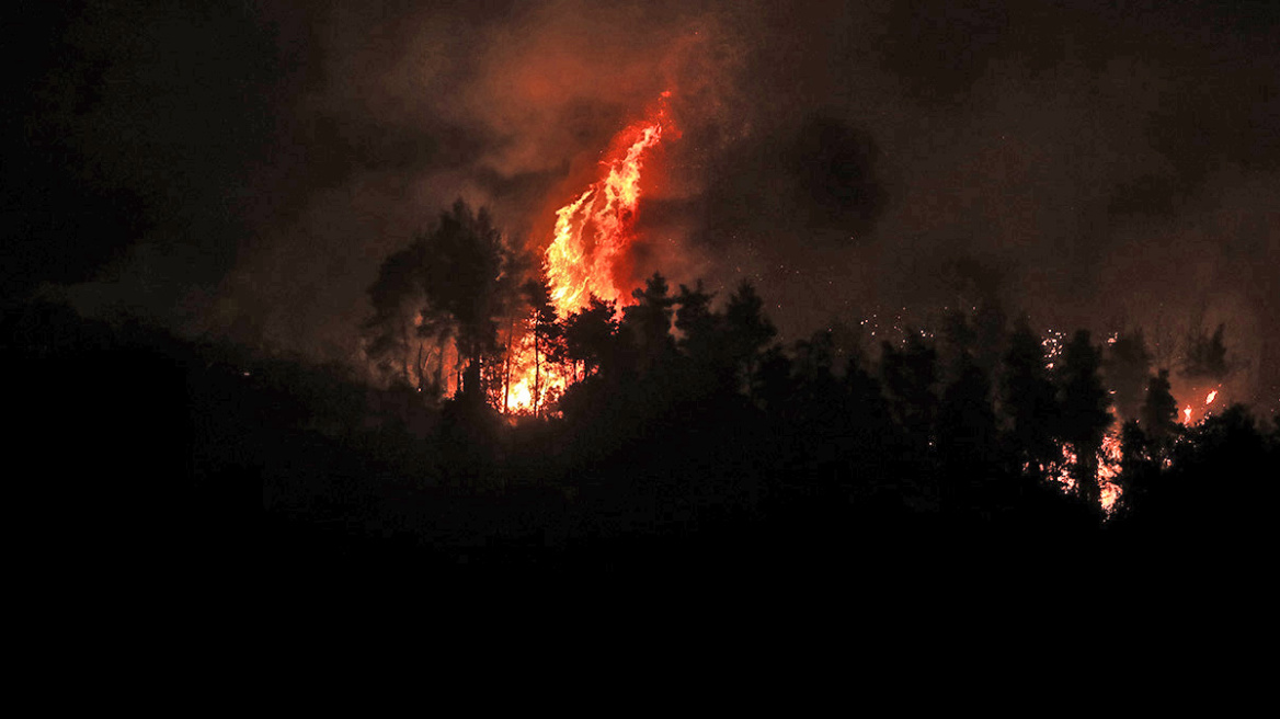 Φωτιές: Ολονύχτια μάχη με τις φλόγες σε Όλυμπο, Μάνη και Ροδόπη - Πνέουν ισχυροί άνεμοι 