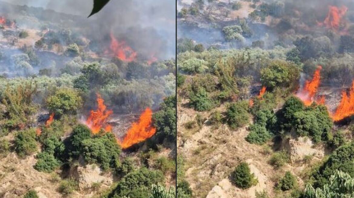 Σέρρες: Υπό έλεγχο η φωτιά στο Βαμβακόφυτο - Δείτε φωτογραφίες