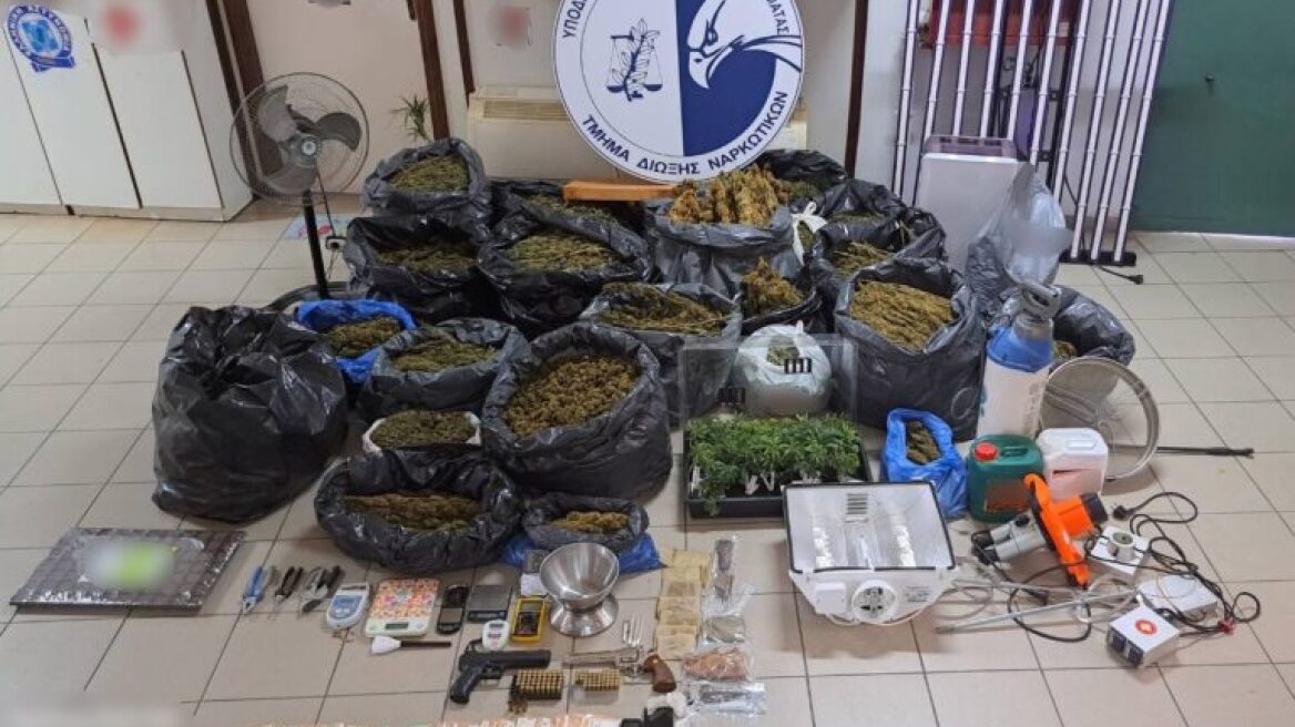 ΕΛ.ΑΣ: Τρεις φυτείες με πάνω από 90 κιλά κάνναβης θα απέφεραν 750.000 ευρώ