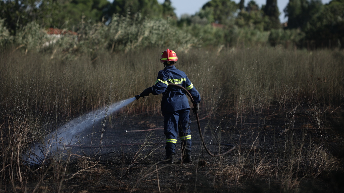 Οριοθετήθηκε η φωτιά σε δασική έκταση στη Σκιάθο