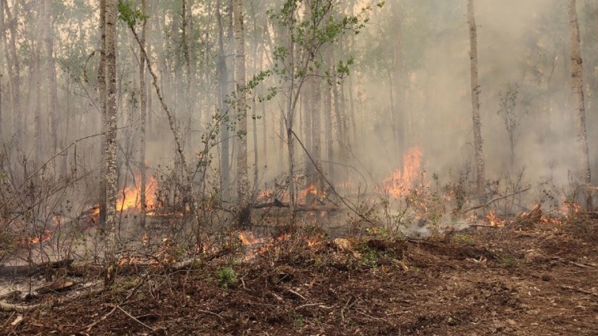 Καναδάς: Μαίνονται οι πυρκαγιές στον Βορρά - Εκκενώσεις περιοχών με στρατιωτικά αεροπλάνα