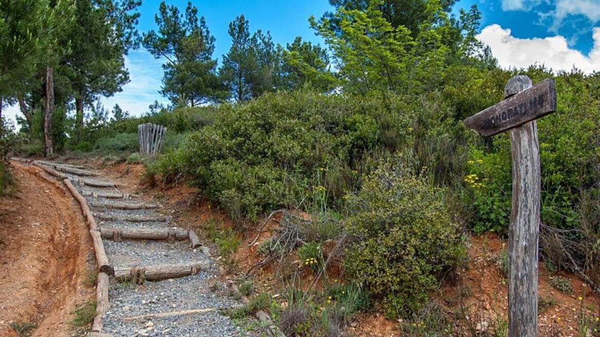 Θεσσαλονίκη: Παρατείνεται η απαγόρευση κυκλοφορίας στο Σέιχ Σου λόγω του πολύ υψηλού κινδύνου πυρκαγιάς