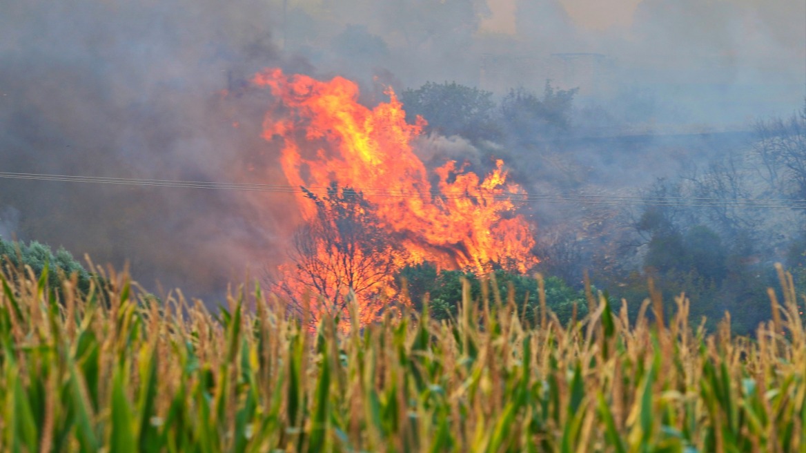 Φωτιά στην Καβάλα: Αγωνία για τις συνεχείς αναζωπυρώσεις 