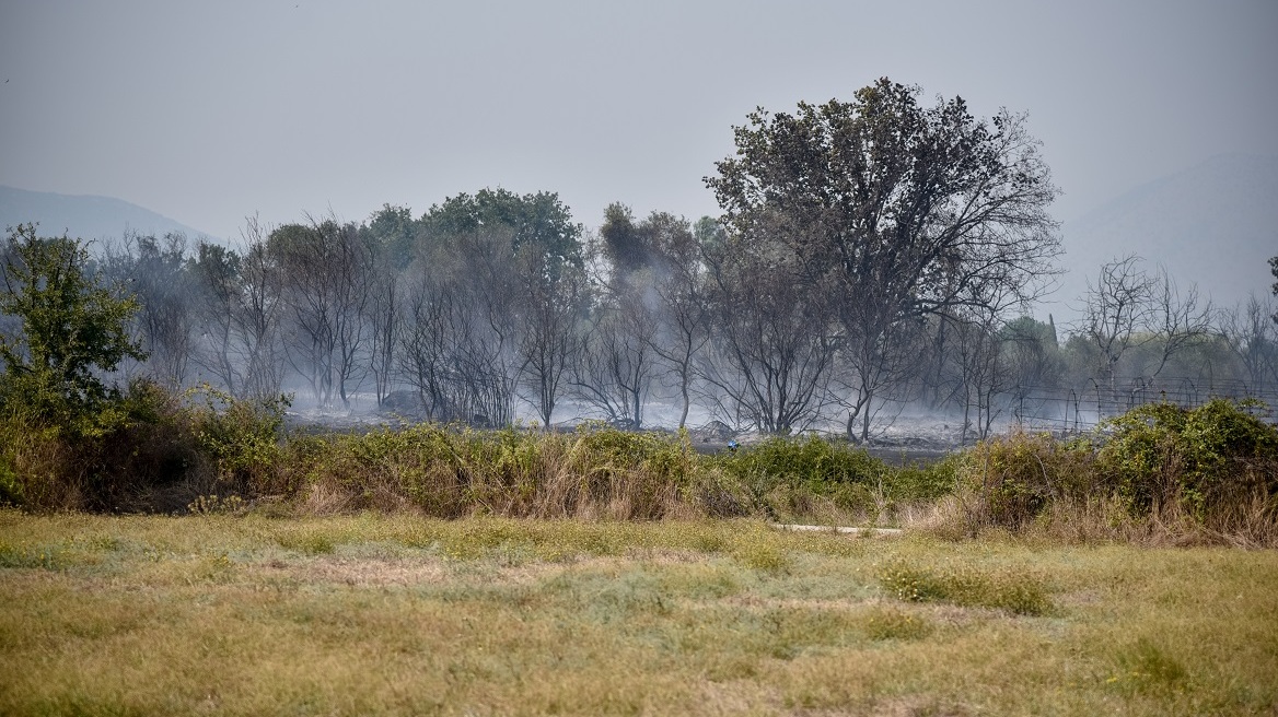 Υπό μερικό έλεγχο η φωτιά σε αγροτοδασική έκταση στην Πρέβεζα