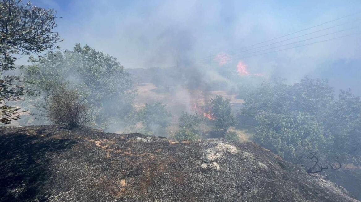 Φωτιά στο Ασήμι Ηρακλείου - Κινητοποίηση από την πυροσβεστική 