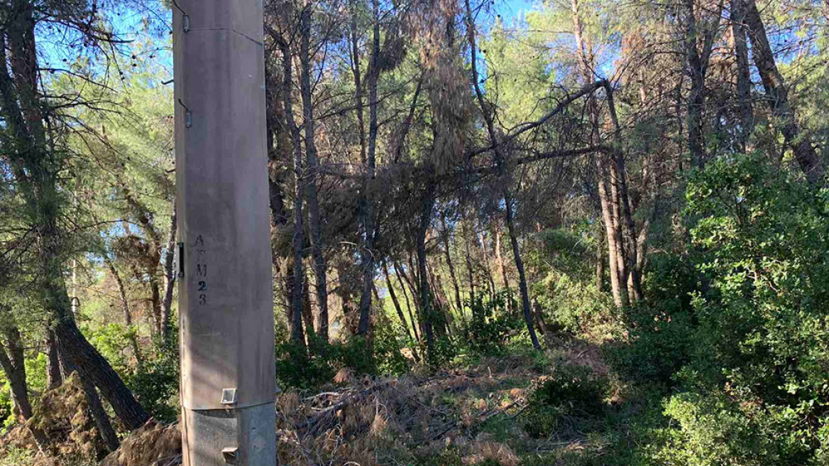 Χαλκιδική: Σε ποιες περιοχές θα ισχύσει απαγόρευση κυκλοφορίας αύριο λόγω κινδύνου πυρκαγιάς