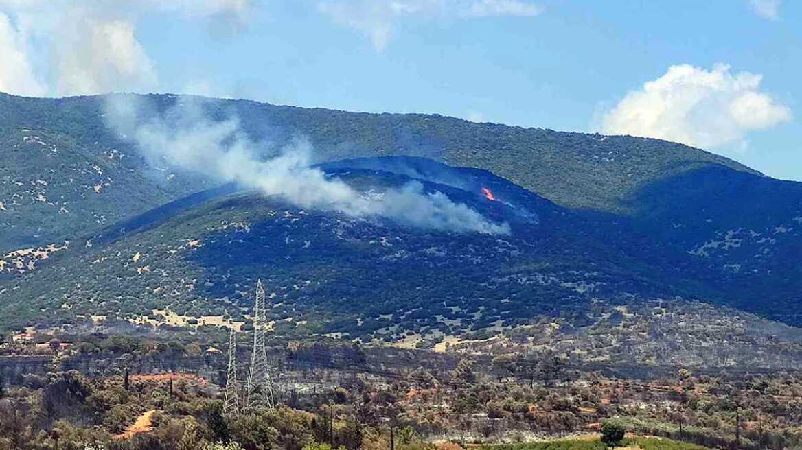 Φωτιά στην Καβάλα: Καλύτερη η εικόνα - Στα χωριά Αβραμυλιά και Διαλεκτό τα κύρια μέτωπα
