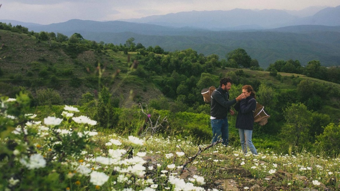 Nomad Honey: Βραβευμένη νομαδική μελισσοκομία στη χαράδρα του Βίκου
