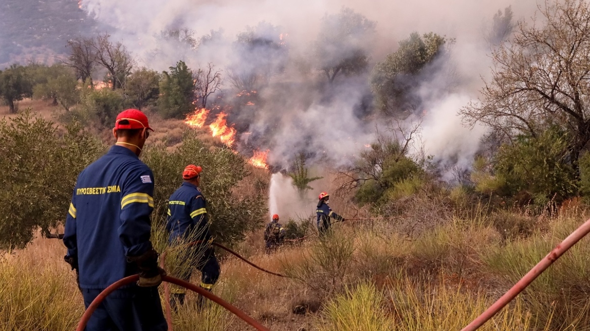 Πολύ υψηλός κίνδυνος πυρκαγιάς αύριο Παρασκευή σε Αττική, Εύβοια και Βοιωτία