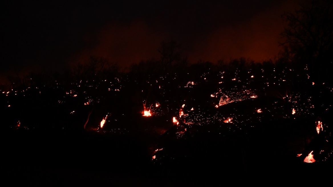 Υπό μερικό έλεγχο οι πυρκαγιές σε Λάγιο Λακωνίας και Ελληνικό Αργολίδας