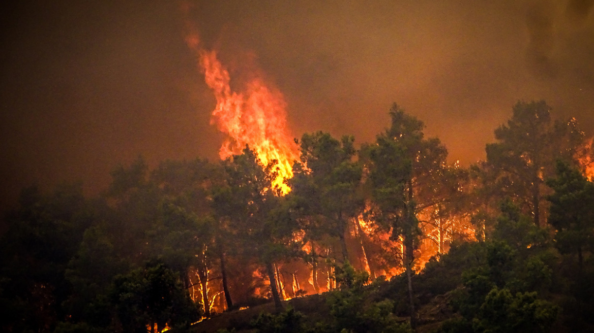 Φωτιά σε δασική έκταση στην Ελεούσα Ρόδου