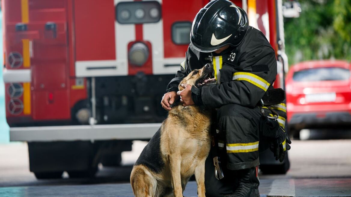 Πυροσβεστική: Εύχεται «χρόνια πολλά» στους τετράποδους συναδέλφους της για την Παγκόσμια Ημέρα Σκύλου