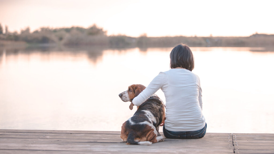Θα σας ξεχάσει ποτέ ο σκύλος σας; Πώς λειτουργεί η βραχυπρόθεσμη και η μακροπρόθεσμη μνήμη του