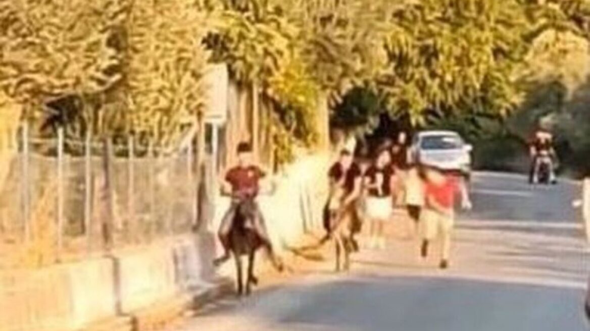 Καταγγελία για «γαϊδουροδρομίες» με ανήλικους στη Λέσβο - Δείτε βίντεο