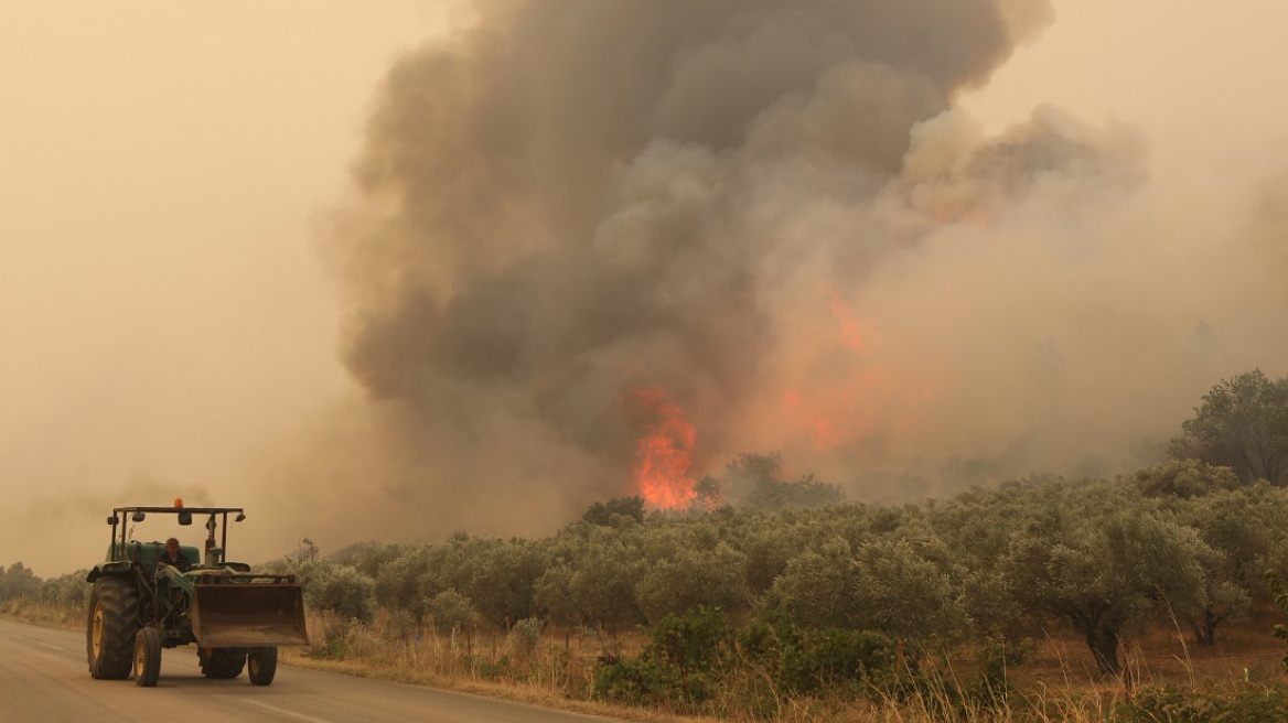 Πυρκαγιές: Αναζωπυρώσεις στην ευρύτερη περιοχή του Έβρου - 81 φωτιές σε ολόκληρη τη χώρα