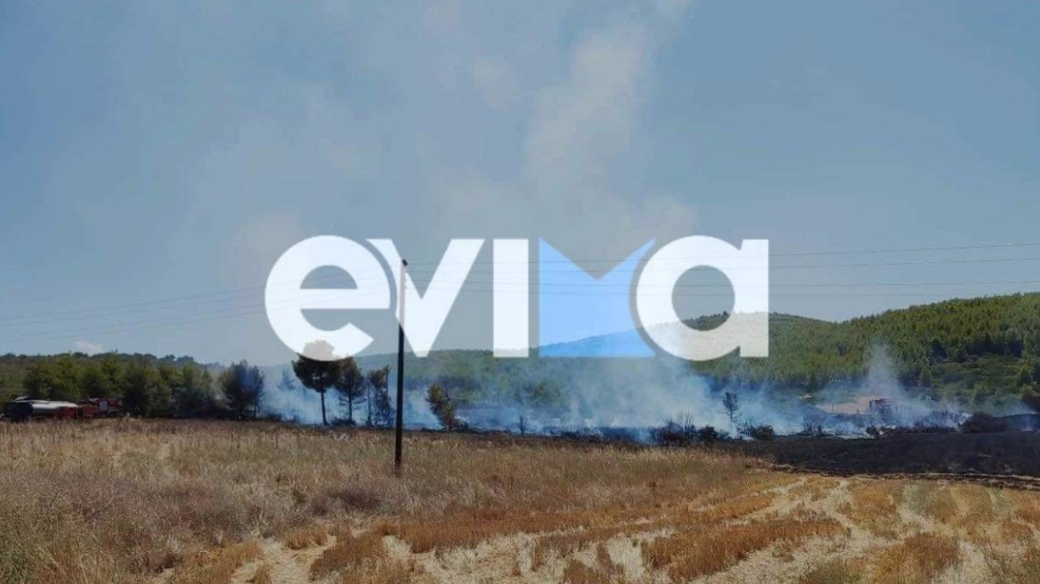 Υπό μερικό έλεγχο η φωτιά στην Εύβοια σε αγροτοδασική έκταση