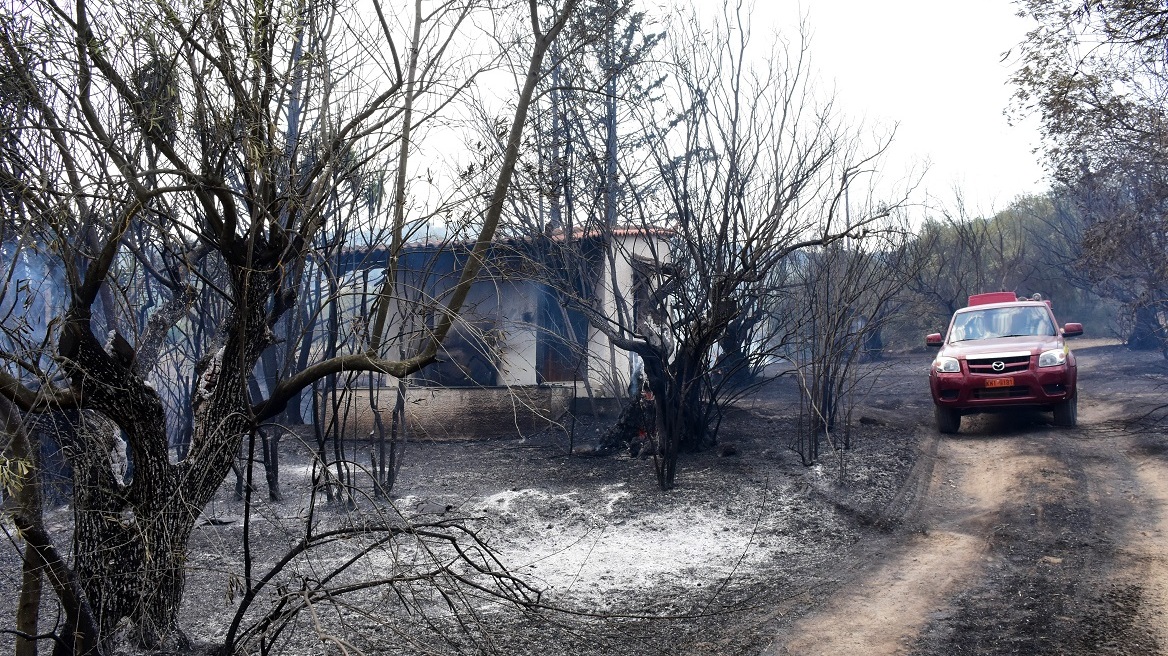Φωτιές: Προχωρούν οι αυτοψίες και οι καταγραφές ζημιών για τους πληγέντες από τις πυρκαγιές