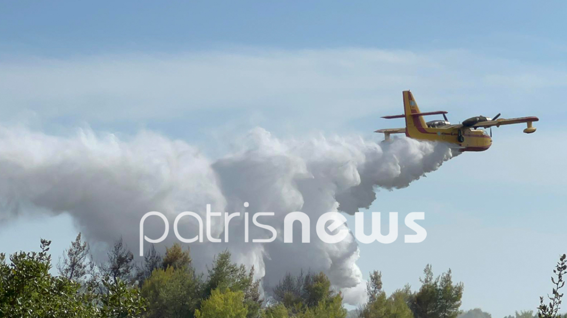 Υπό μερικό έλεγχο η πυρκαγιά στο Γεράκι Ηλείας