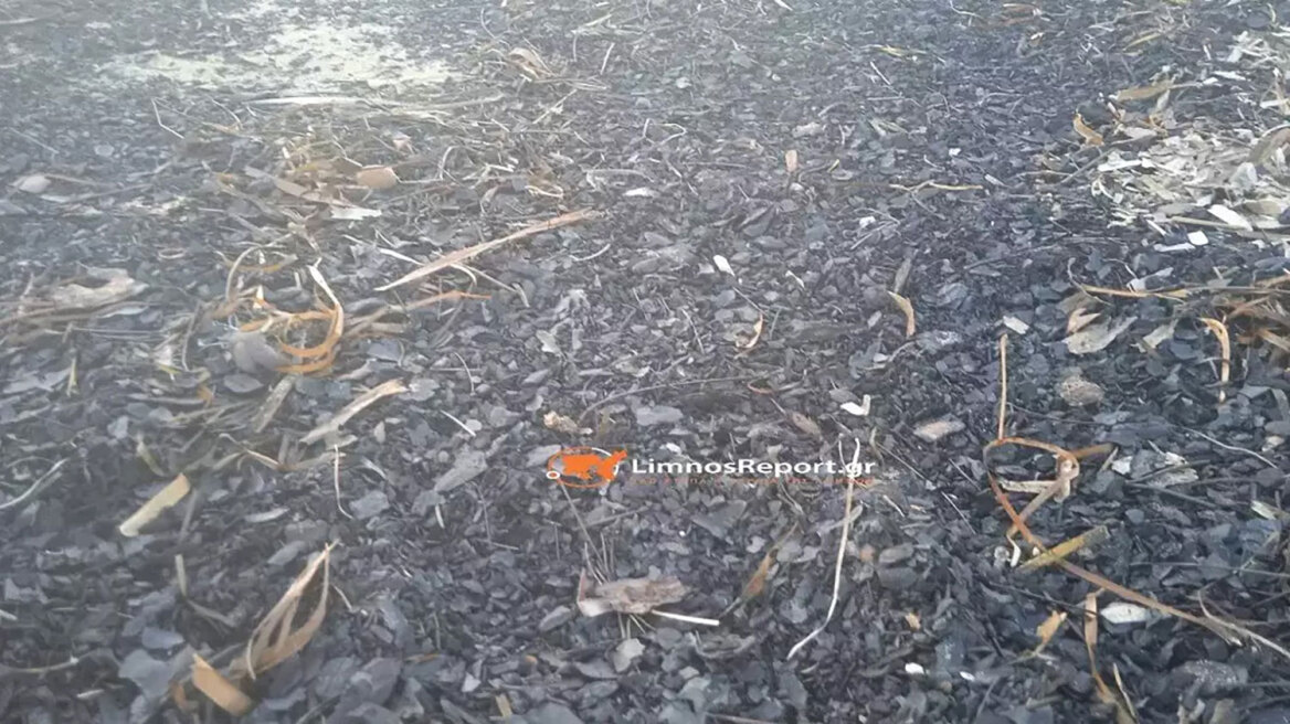 Φωτιά στον Έβρο: Αποκαΐδια έφτασαν σε παραλία της Λήμνου