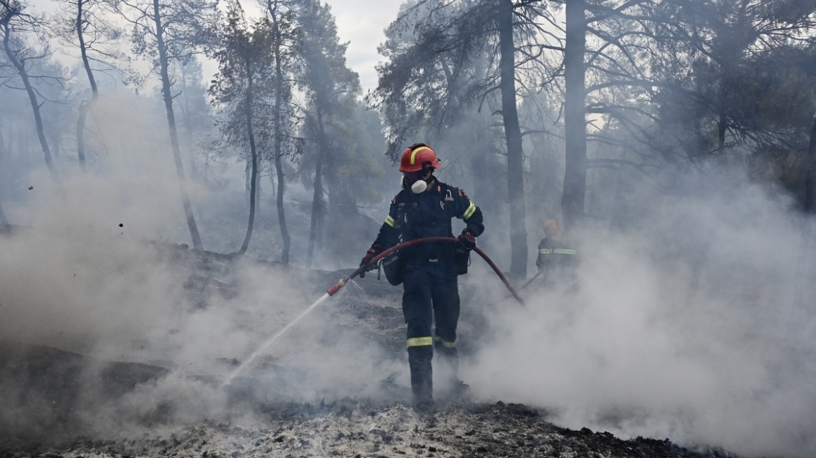 Φωτιές - ΕΠαΔαΠ: Κάηκαν 1,7 εκατ. στρέμματα σε 67 δασικές πυρκαγιές από την αρχή του έτους - Δείτε χάρτη
