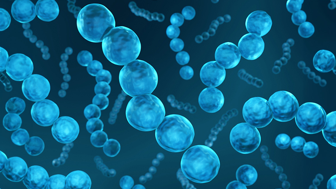 Τι προκαλεί στην υγεία μας ο Β-Αιμολυτικός στρεπτόκοκκος της ομάδας Α(GAS);