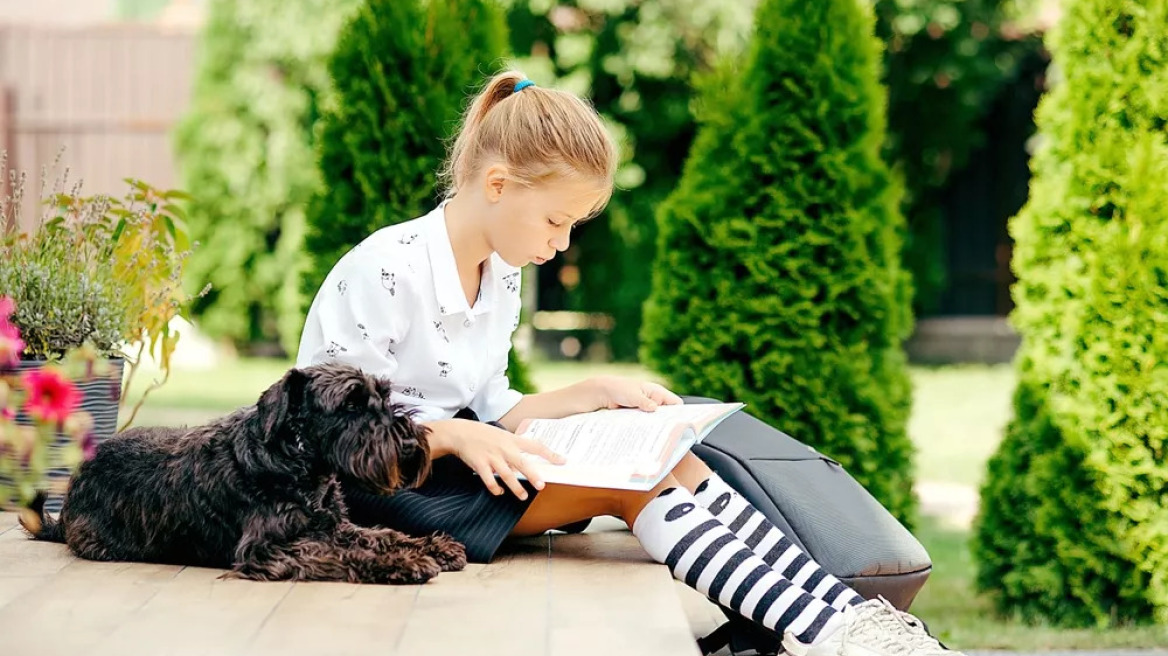 Back to school: πώς να κρατήσετε τον σκύλο σας χαρούμενο