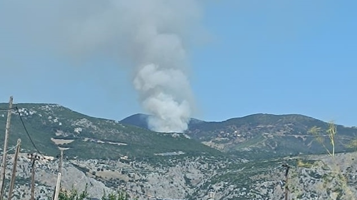 Φωτιά σε δασική έκταση στη Δίβρη Φθιώτιδας