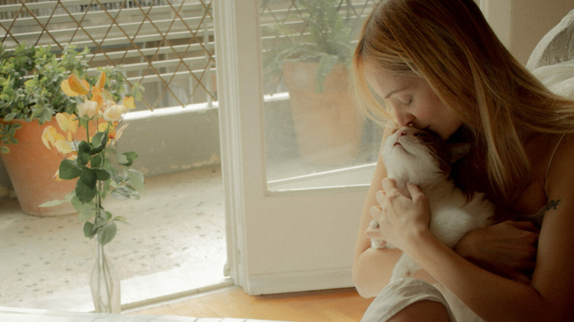 Η Rosey Blue και οι γάτες της, ο Phil και η Lucy