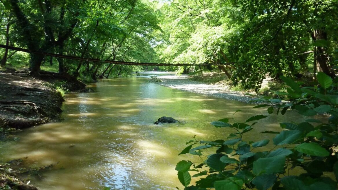 Φθινόπωρο στον Κηρέα- Μία από τις ωραιότερες διαδρομές στην Εύβοια 