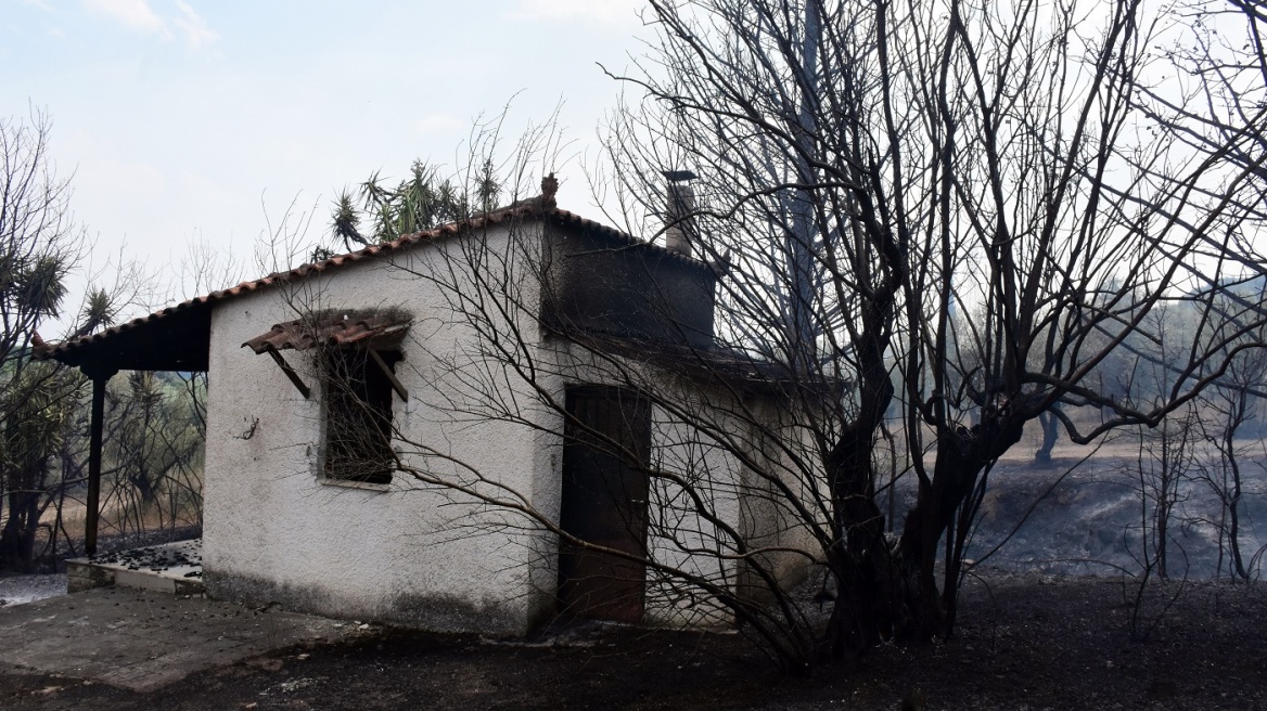 Πληρωμές €500.000 σε πυρόπληκτους για την πρώτη αρωγή - Ανοιχτή έως τις 25 Σεπτεμβρίου η πλατφόρμα για αιτήσεις