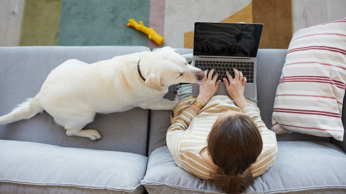 5 χρήσιμες συμβουλές για να φροντίζετε τον σκύλο σας αν είστε πολυάσχολος κηδεμόνας