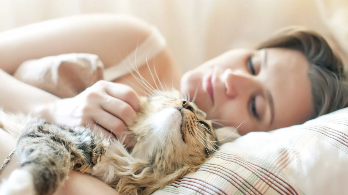 Πώς επιλέγουν οι γάτες με ποιον θα κοιμηθούν στο κρεβάτι