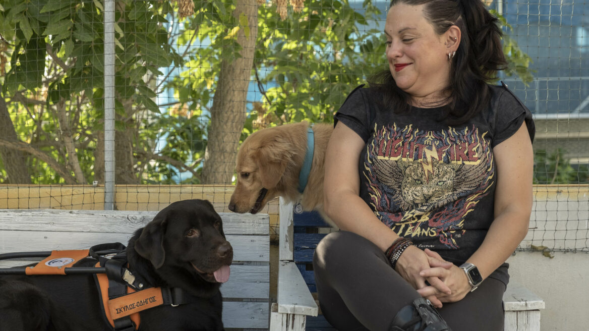 Σκύλοι-οδηγοί τυφλών: Πώς πρέπει να συμπεριφέρεστε όταν βρίσκεστε κοντά τους