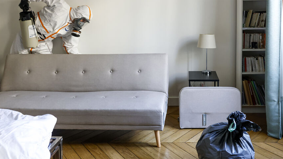 Ψύχωση στη Γαλλία για τους «αιμοδιψείς» κοριούς - «Απαγορευμένη ζώνη» το Παρίσι για τα ξένα μέσα ενημέρωσης