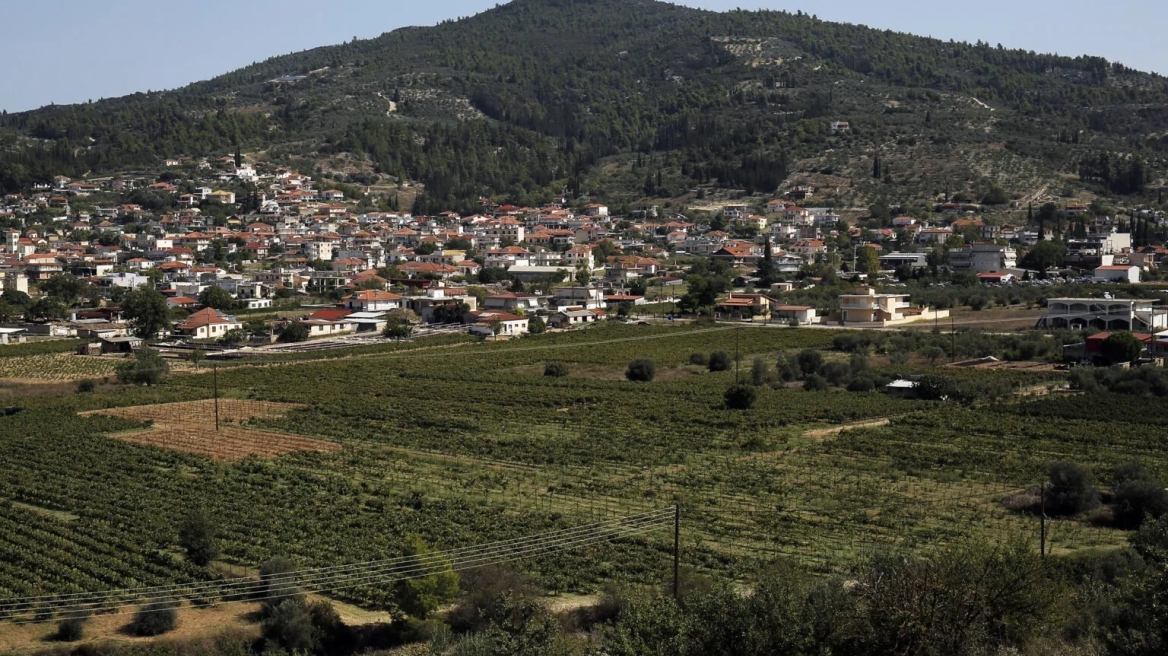 Οδοιπορικό στη Νεμέα: Διάσπαρτοι αμπελώνες, η Αρχαία Νεμέα και ο βράχος του Πολυφέγγους