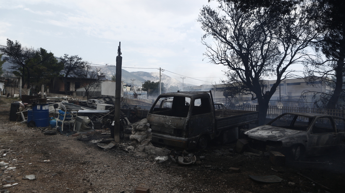 Πάρνηθα: Το Κοινωφελές Ίδρυμα Αθανάσιος Κ. Λασκαρίδης συνδράμει στην αναδάσωση πάνω από 11.000 καμένων στρεμμάτων 