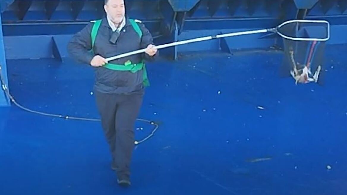 Χίος: Ύπαρχος έσωσε γάτα που ήταν στην πρύμνη πλοίου - Δείτε βίντεο