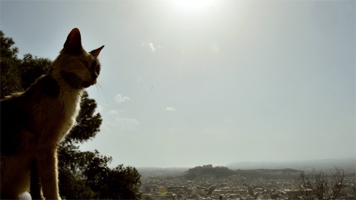 Καιρός: Στους 31 βαθμούς σήμερα ο υδράργυρος - Πού αναμένονται λασποβροχές