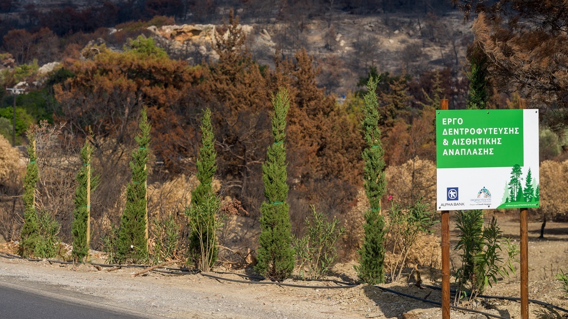Η Alpha Bank αρωγός στην προστασία του Περιβάλλοντος