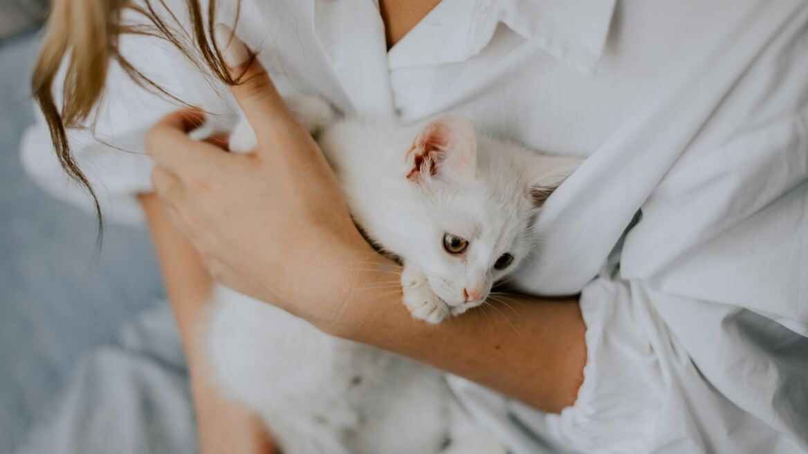 Καταλαβαίνουν οι γάτες αν είστε έγκυος; Δείτε το συγκινητικό βίντεο