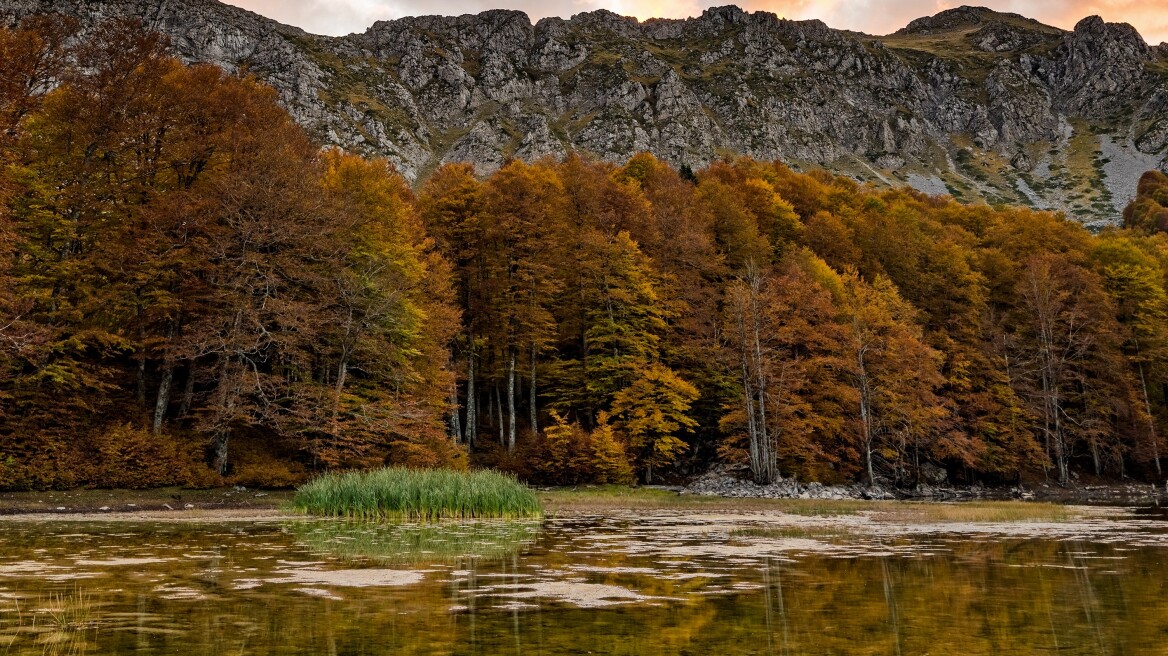Αρρένες Γράμμου: Ένα μοναδικό τοπίο της φύσης για το φθινόπωρο -Μαγεύει με τα χρώματά του 